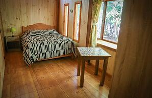 Llaima Camp