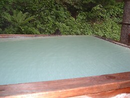 Onsen Inn 36So