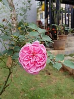 Sapa Charming Homestay
