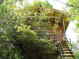 Thick forest sigiriya