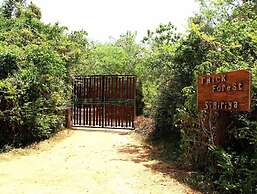 Thick forest sigiriya