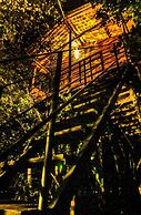 Thick forest sigiriya