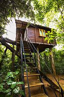 Thick forest sigiriya