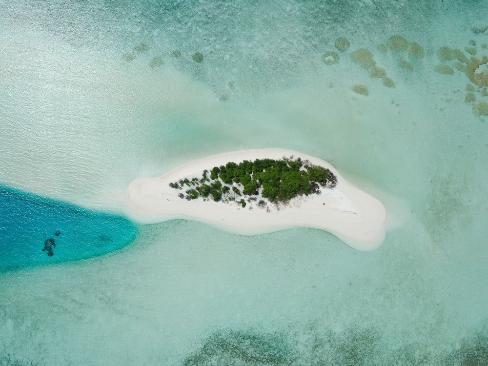 Quicksand Rasdhoo