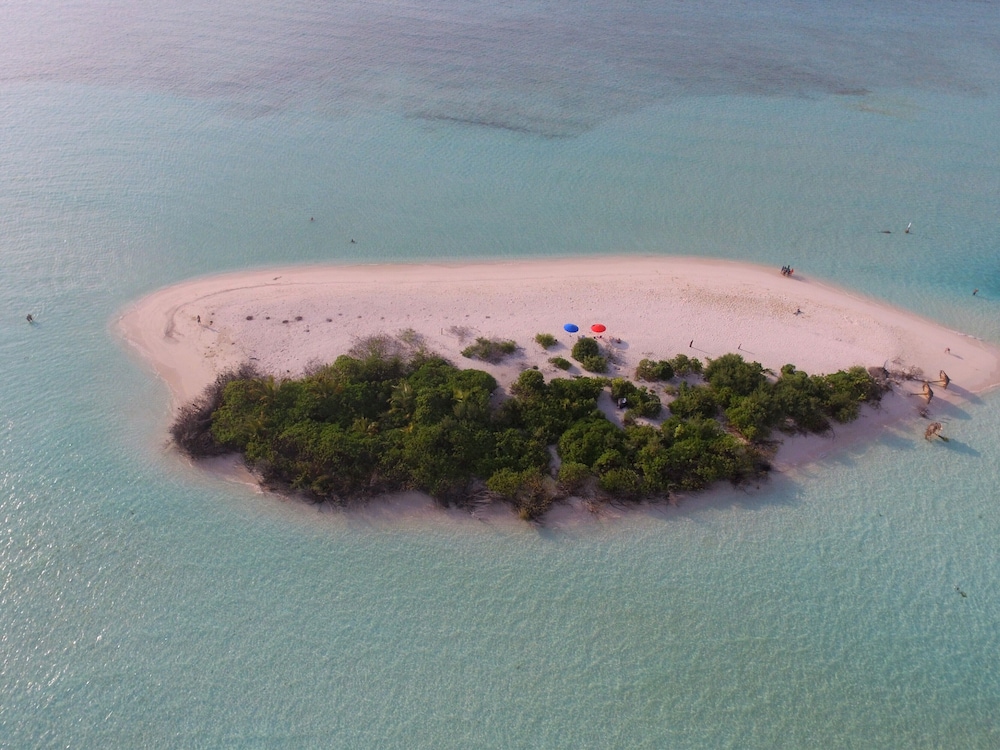 Quicksand Rasdhoo
