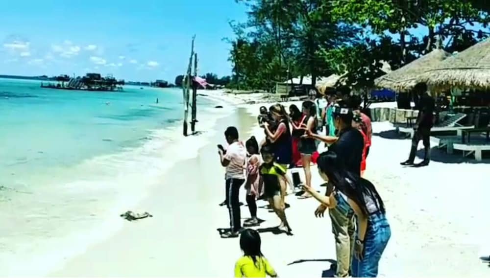 Madu Tiga Beach & Resort