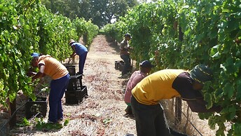 Allee Bleue Hospiltality