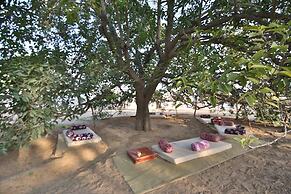 Rishikul Kumbh Cottages