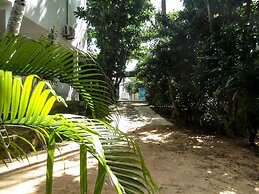 Seashore Mirissa