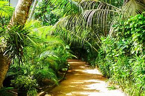 Seashore Mirissa
