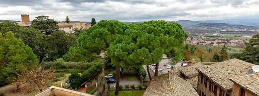 B&B Istituto SS Salvatore