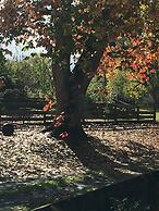 Karapiro Willows Luxury B & B