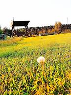 Hadori mindfulness