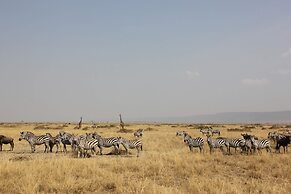 ELangata Olerai Luxury Camp