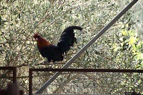 AgriturCostabaira