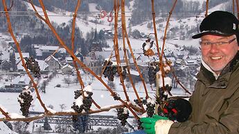Hotel Hirschen Glottertal