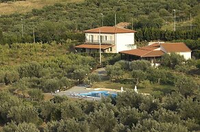 La Collina degli Ulivi - Casa Ulivi 1