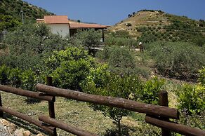 La Collina degli Ulivi - Casa Ulivi 2