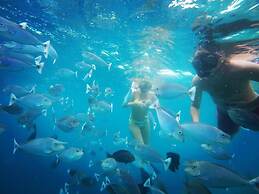 Ci-Ritorno View