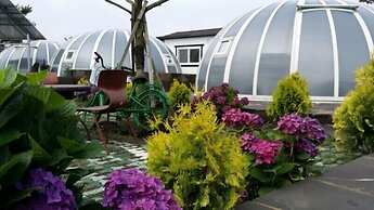Jeju Igloo Pension