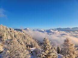 Hotel Bergsonne Rigi