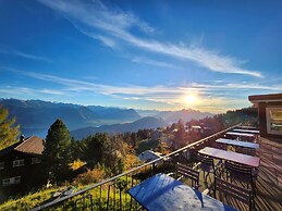 Hotel Bergsonne Rigi