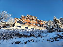 Hotel Bergsonne Rigi