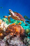 Ocean Beach Inn - Maldives