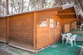 Camping La Ardilla Roja