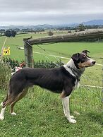 Cubby House Stay - Kaikoura