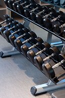 Just Palace