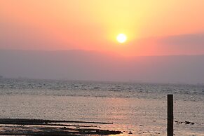 Mousa Coast