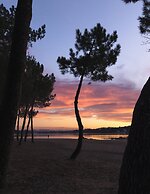 Les Acanthes