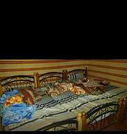 Desert Lovers Camp