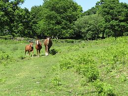 Acorn Court Country House