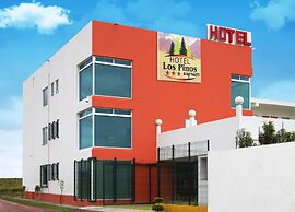 Hotel Los Pinos Express