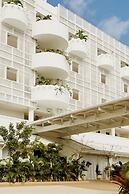 Palm Heights