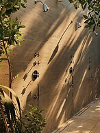 Palm Heights