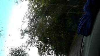 Tripsyala