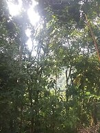 ELLA NATURE NEST