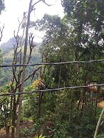 ELLA NATURE NEST