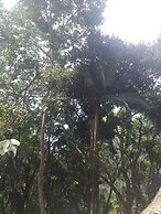 ELLA NATURE NEST