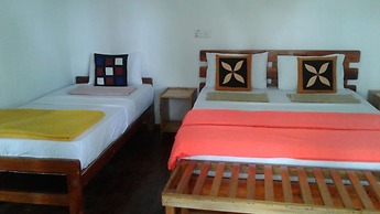 ELLA NATURE NEST