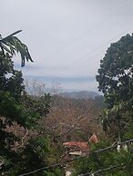 ELLA NATURE NEST