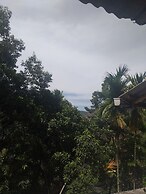 ELLA NATURE NEST