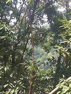ELLA NATURE NEST