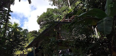ELLA NATURE NEST