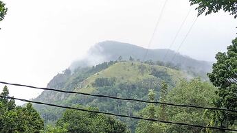 ELLA NATURE NEST