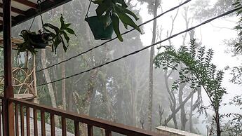 ELLA NATURE NEST