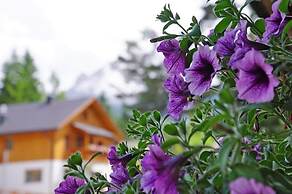 Pension Arnica